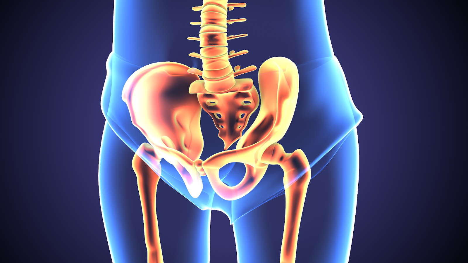  ilustração 3D da anatomia da articulação do quadril do corpo humano