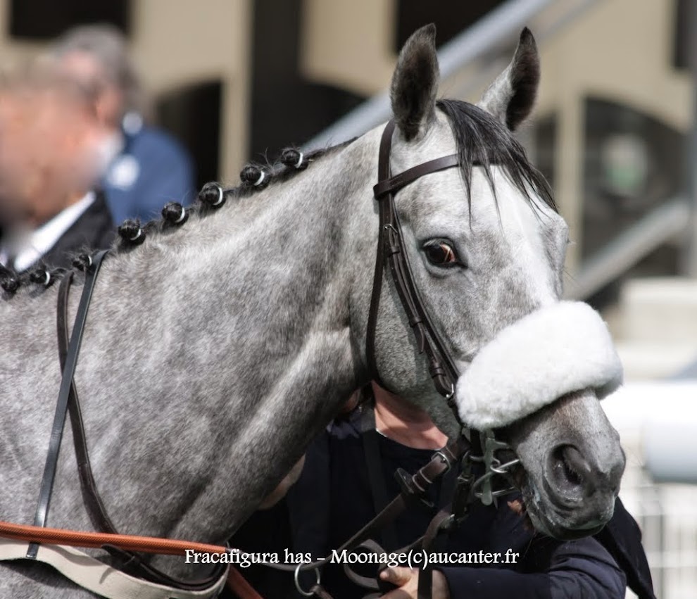 Photos Auteuil 16-05-2015 Week-end printanier de l'obstacle - Page 2 Xos5cgo4lfcLP_I9rdm0GzRg2Z4WCzt9AXIgFmWG7Q9X=w990-h851-no