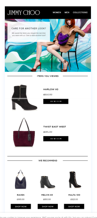 Jimmy choo product recommendations using browsing history