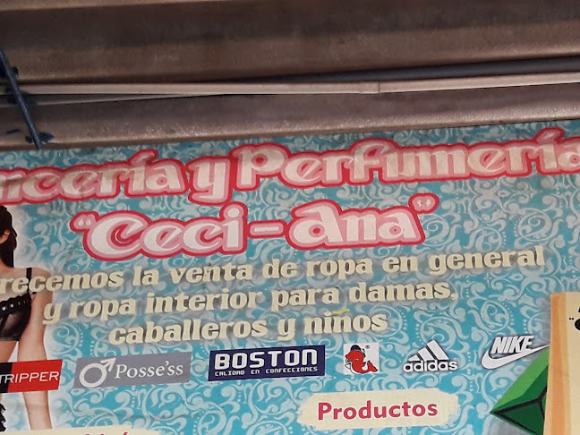 Lencería Y Perfumería Ceci-Ana - Trujillo