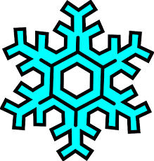 Image result for snowflake