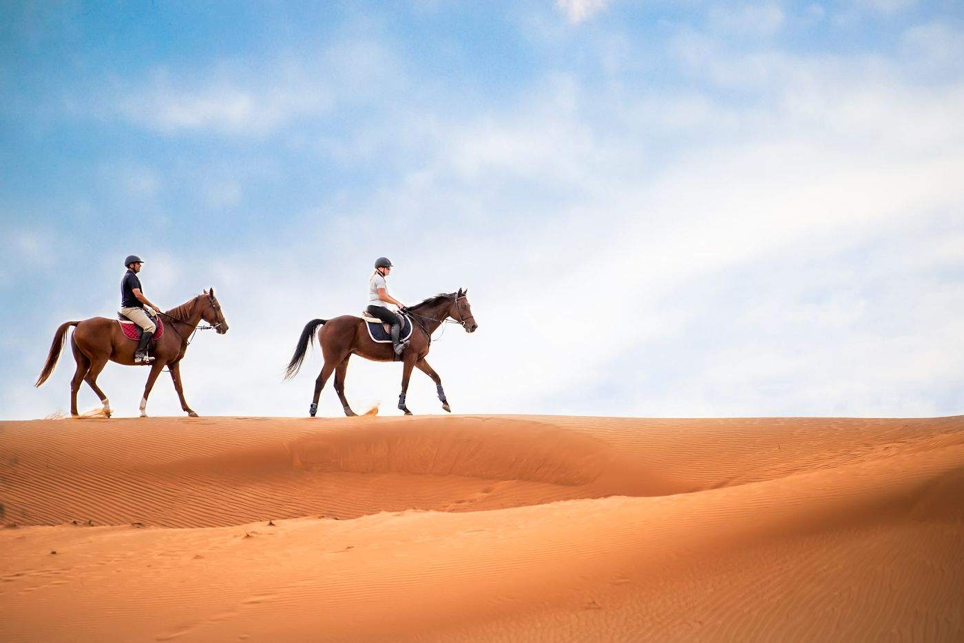 Horses in a Desert