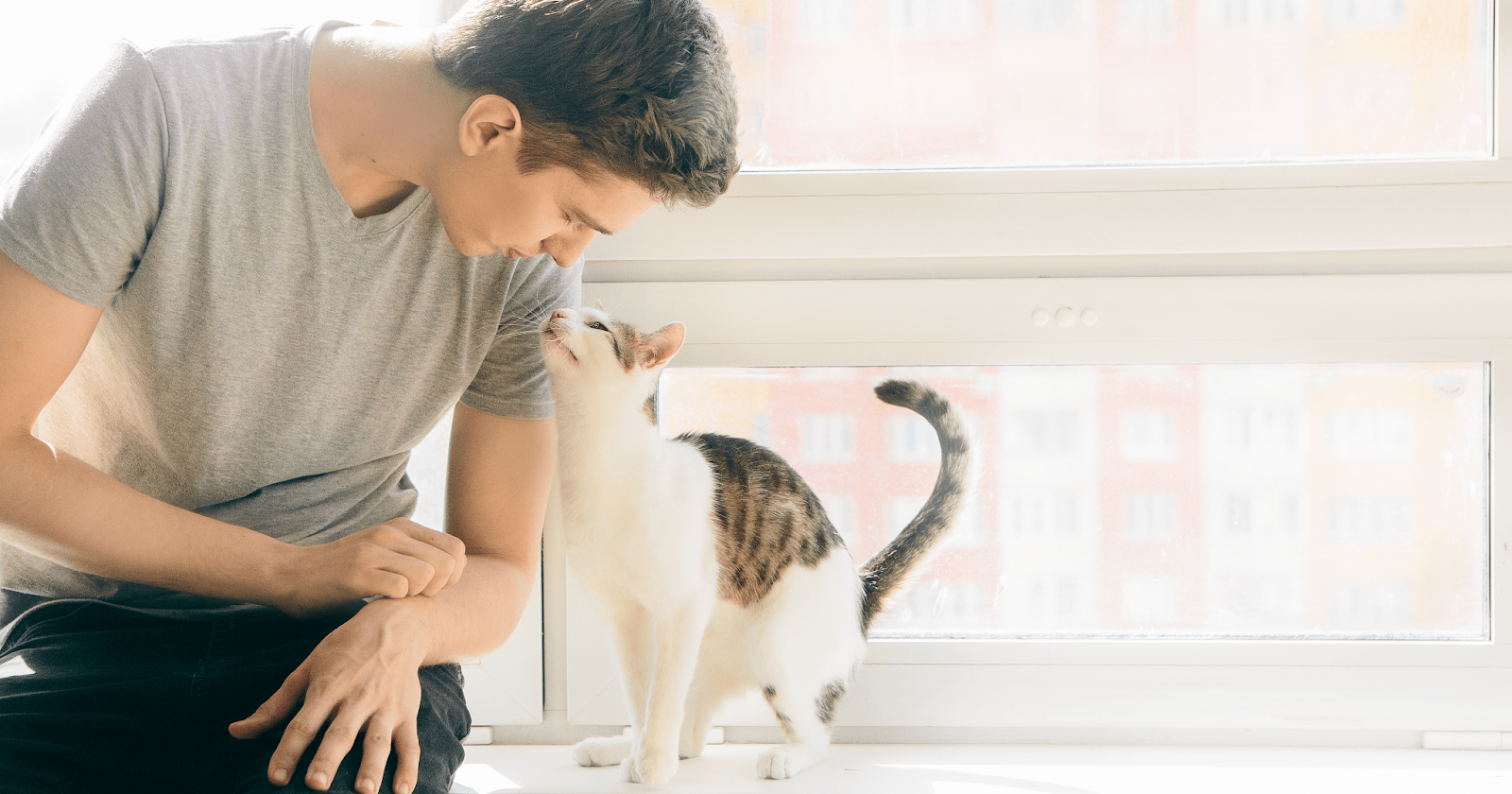 Young man sitting on windowsill leaning toward tabby cat with white stomach