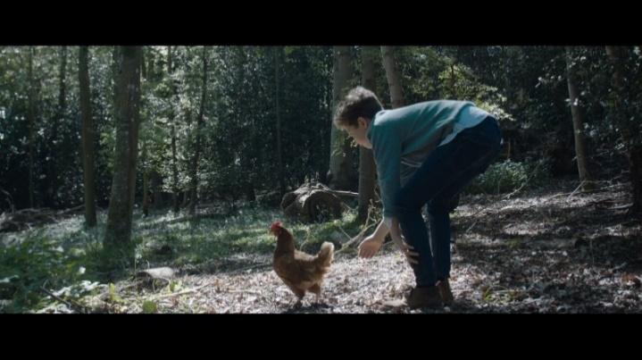 Uma imagem contendo ao ar livre, mamífero, animal, homem

Descrição gerada automaticamente