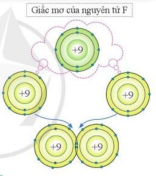 Câu hỏi trang 33 SGK TN&XH 7 CD tập 1