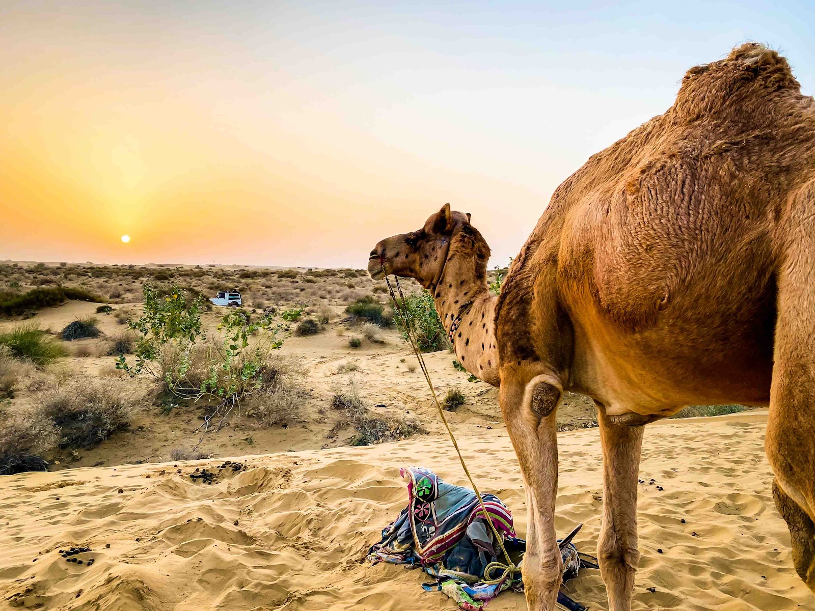 【印度賈沙梅爾】黃金之城 Jaisalmer騎駱駝、睡沙漠體驗兩天一夜，交通、店家推薦、費用全攻略 一覽滿天星斗絕無遺憾｜三八旅客