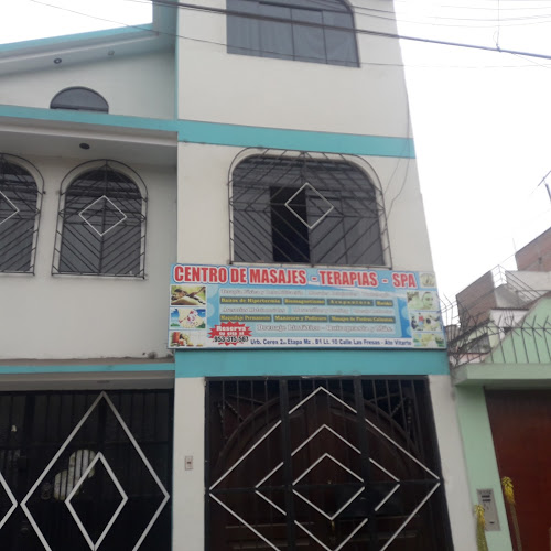 Centro Terapeutico Virgen Del Carmen