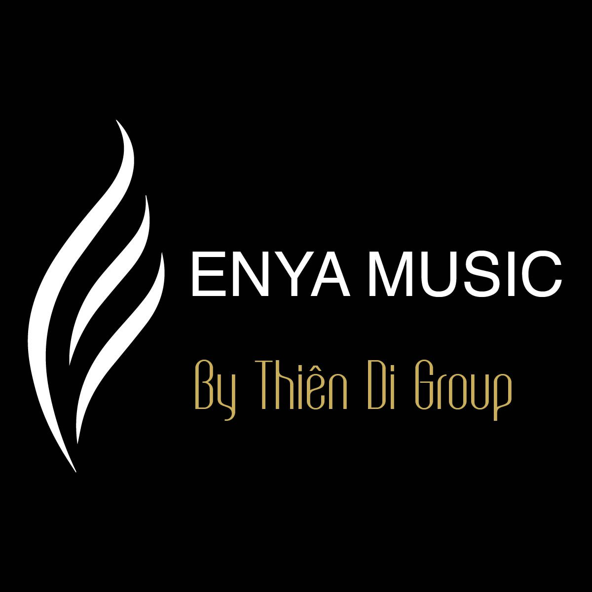 Thiên Di group - địa chỉ bán đàn Enya Nexg 2 chính hãng