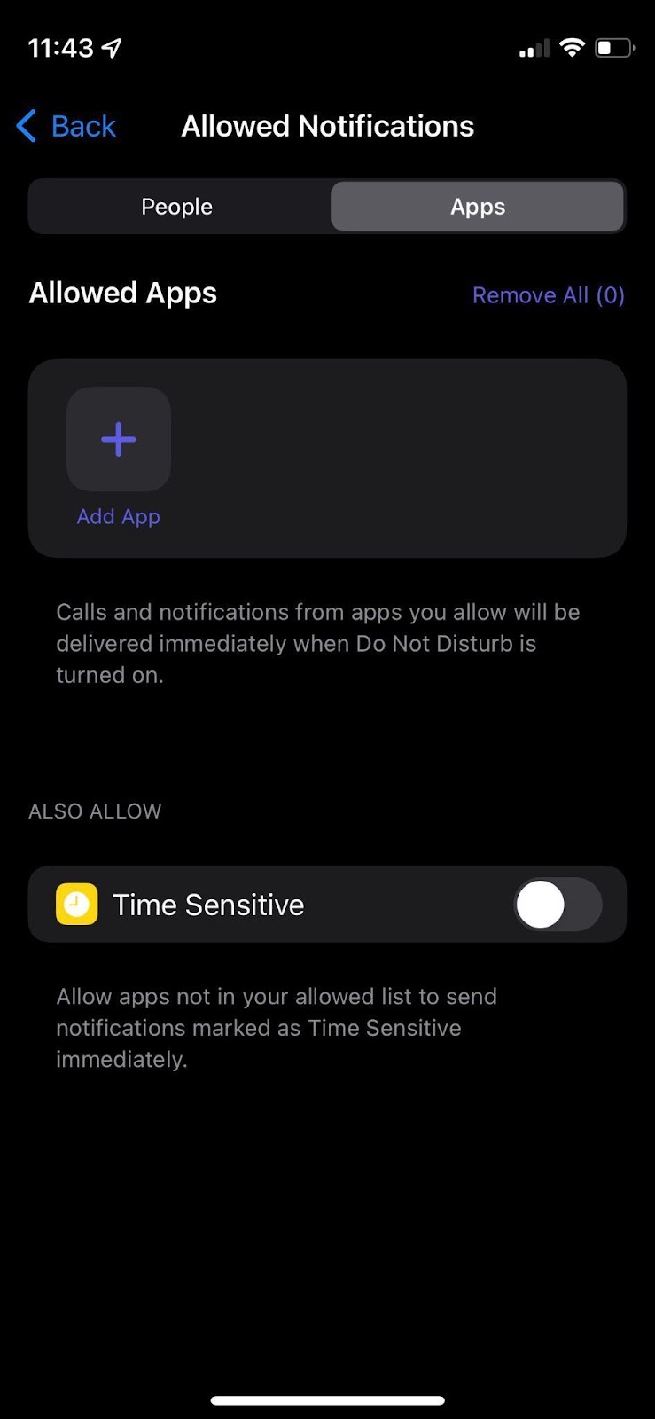 apps allowed - DND exception setting in iOS