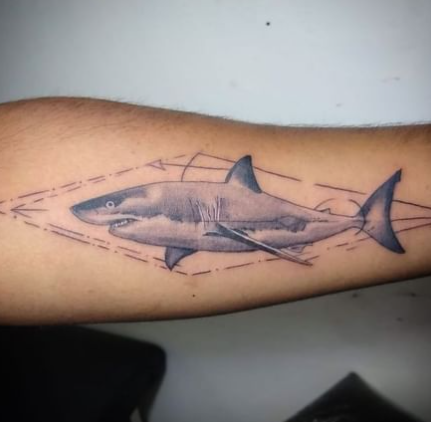 Micro Line Realism Fantastic Shark Tattoo Better Shark Week