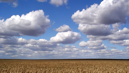 How Does Cloud Computing Work?