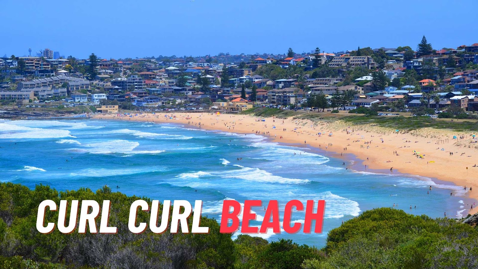 Curl Curl Beach