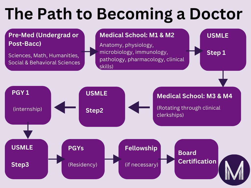 The path to becoming a doctor