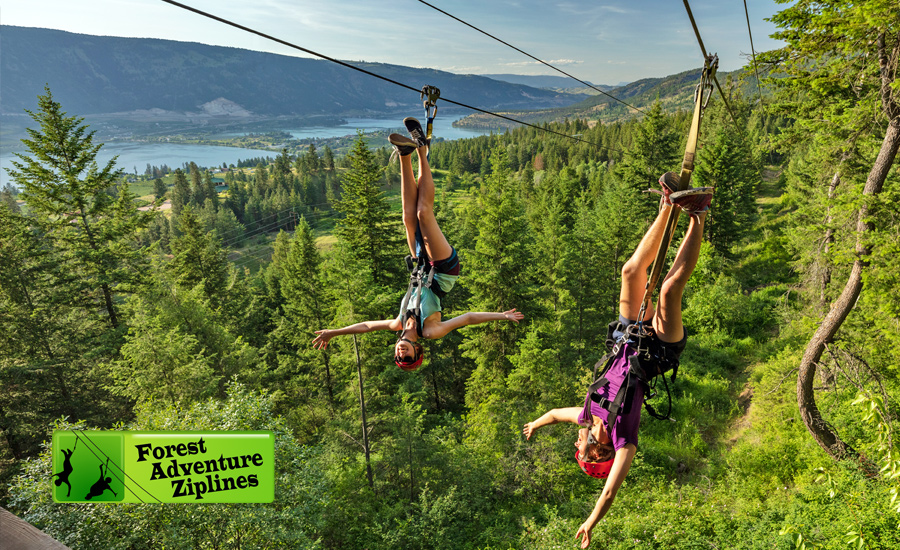 Two upside-down zipliners at Oyama Zipline, a fun adventure activity in the Okanagan