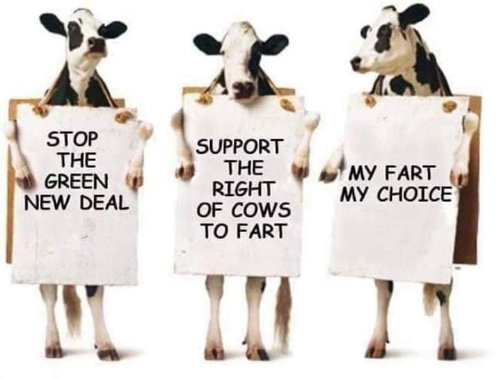 Billedresultat for cows farting green new deal