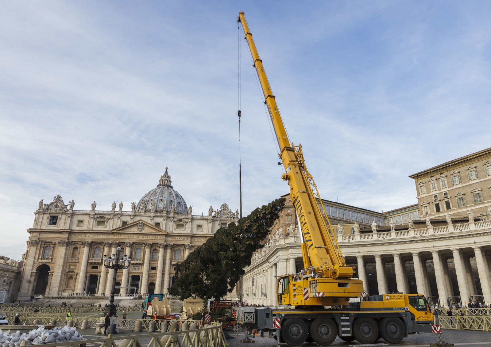 Cây thông Giáng sinh ở Quảng trường Vatican