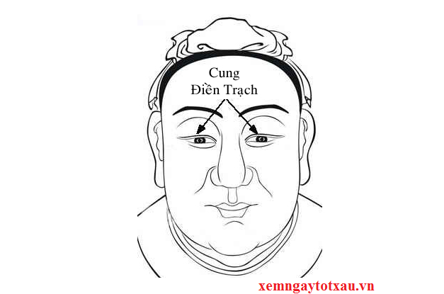 cung-dien-trach-3.png