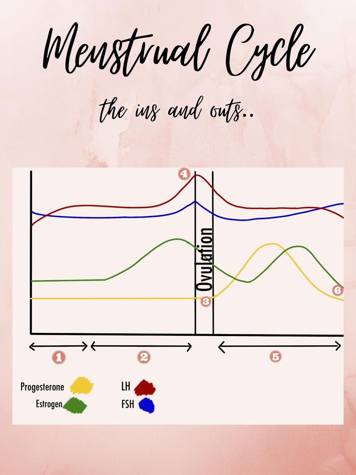 Chart Description automatically generated