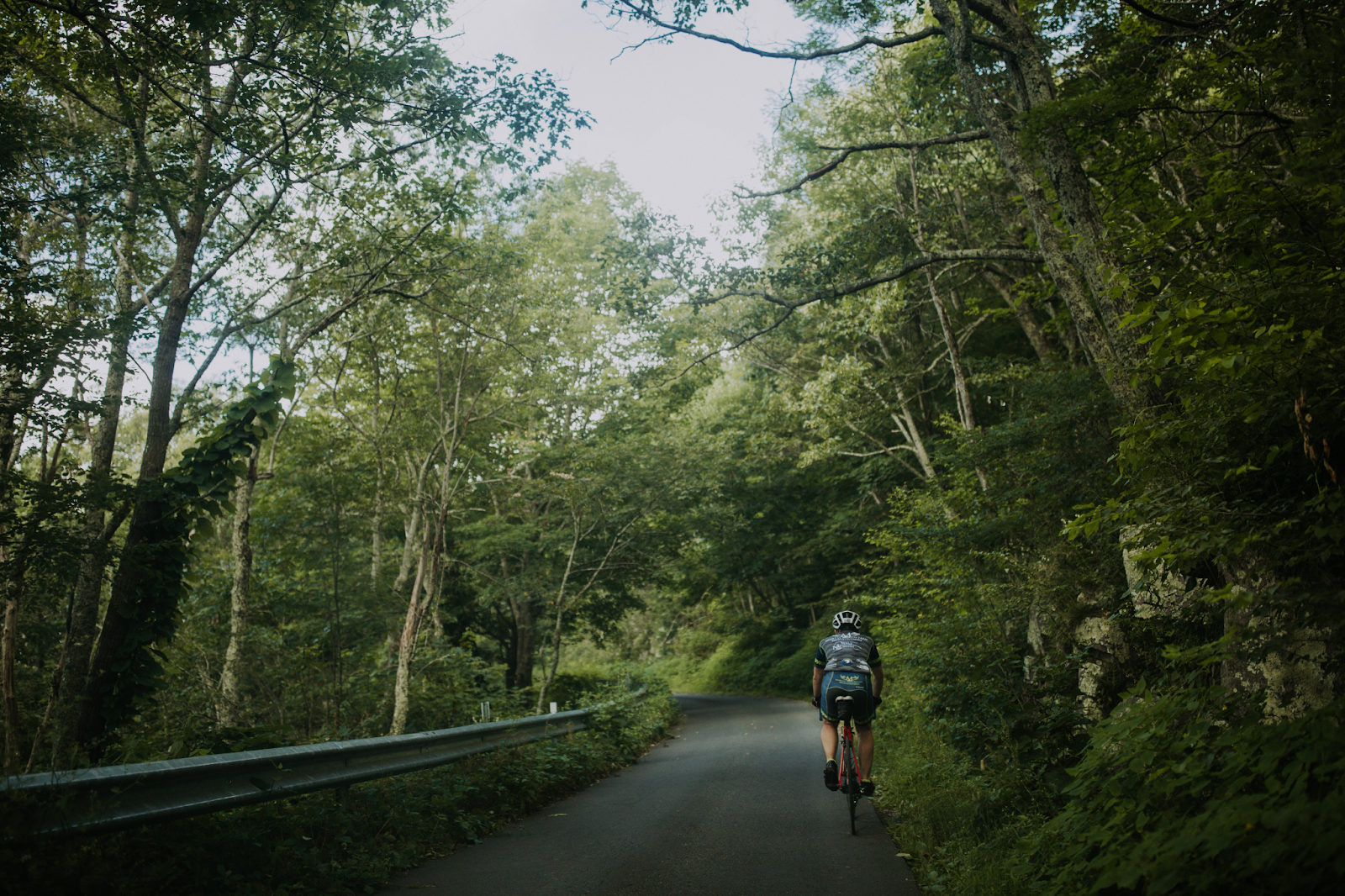 See The Scenery From The Saddle Bike The Shenandoah Valley