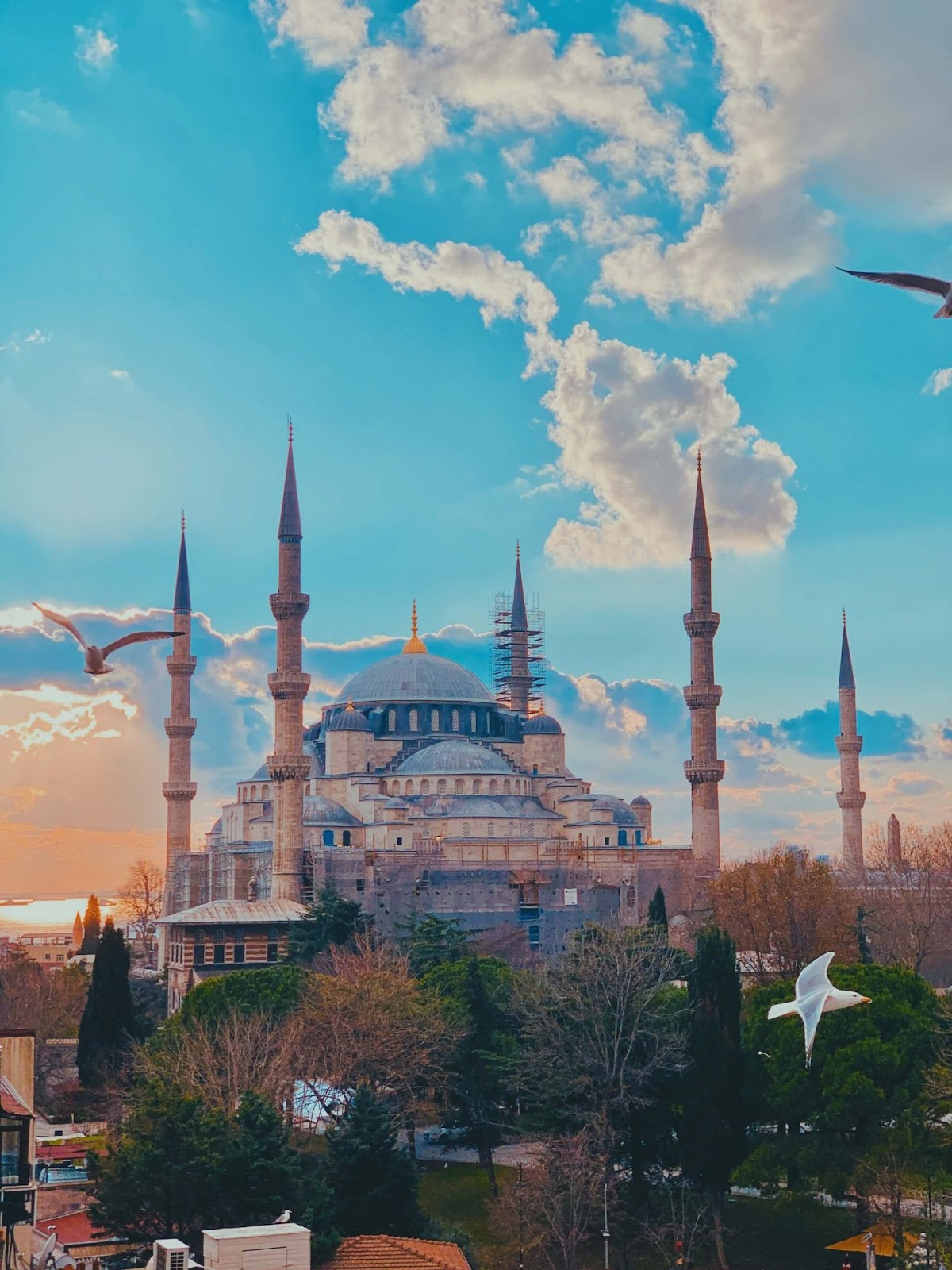 Istanbul 1 day itinerary, the Blue Mosque, Sultan Ahmed Mosque, Istanbul, Turkey