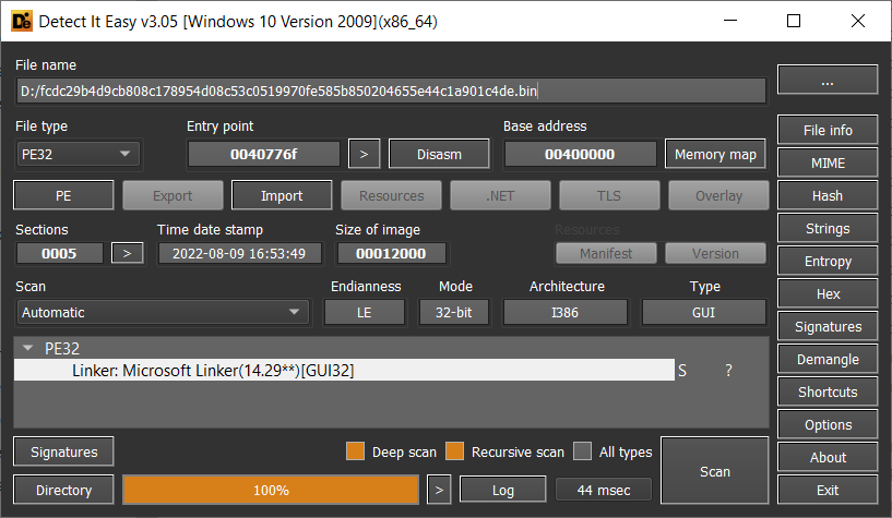 Raccoon malware overview in DiE
