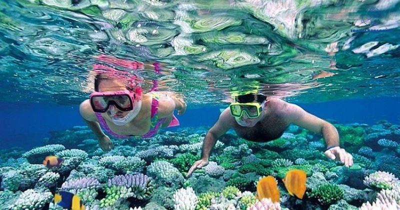 Visit Nha Trang - To visit Nha Trang, you must experience scuba diving to see colorful corals and sea creatures