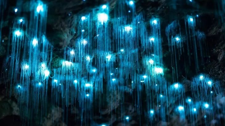 Glow Worm Tunnel, NSW