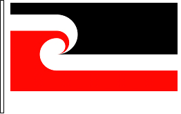 Image result for maori flag