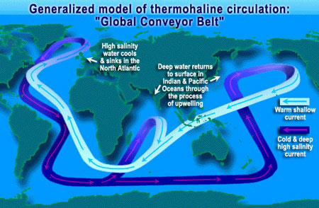 Diagram of thermohaline circulation