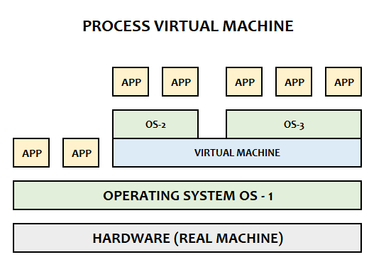 process virtual machine
