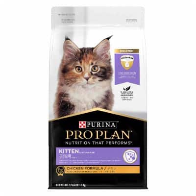 Best Cat Food Kitten Recommendations Proplan Kitten Chicken