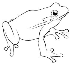 Image result for frog coloring page
