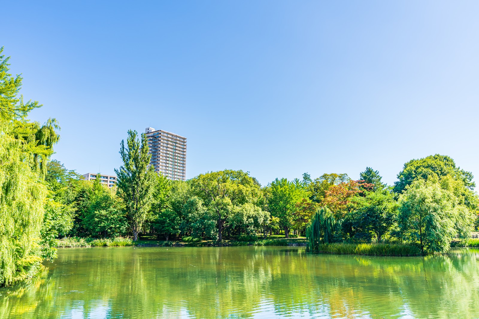 【札幌市中央区】中島公園