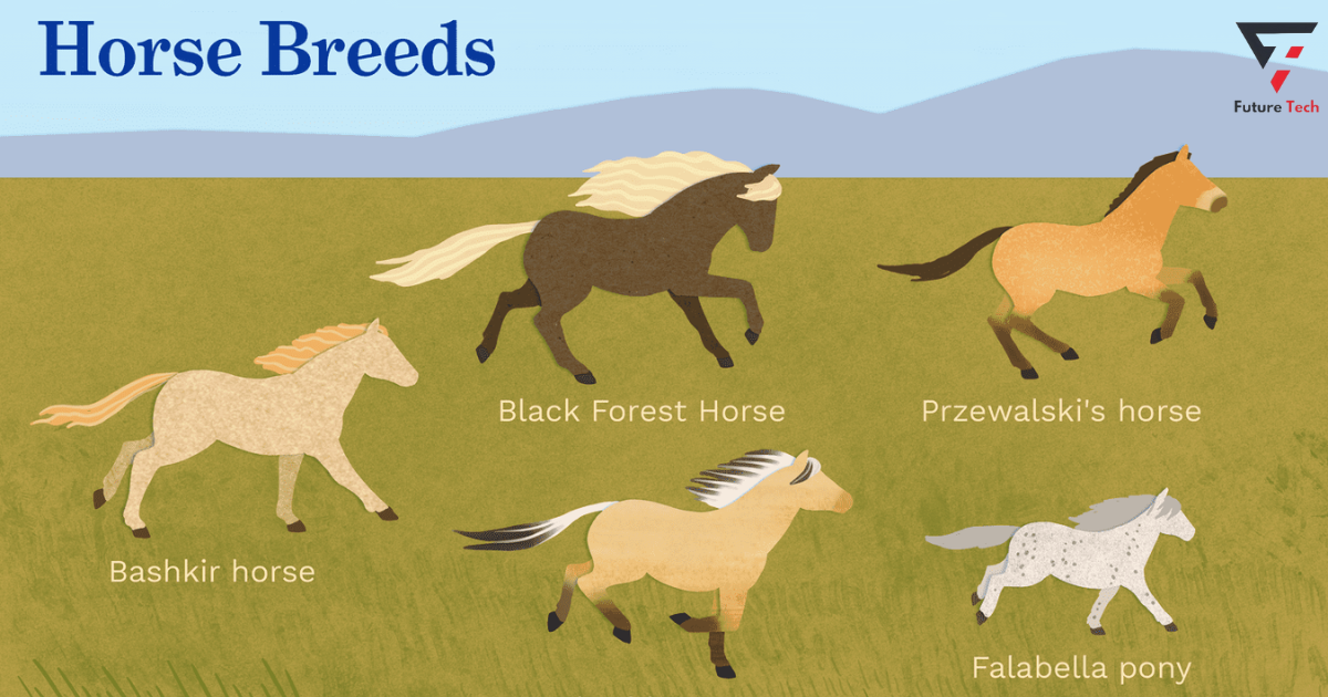 Rare and Endangered Breeds 