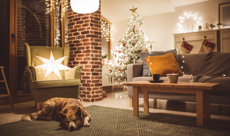 A dog sleeping on the rug in a room decorated for Christmas