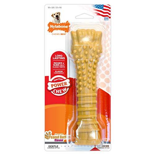 Juguete masticable duradero con sabor a Nylabone