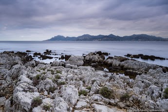 Le CIS Iles de Lérins détient l'écolabel Européen. L'île Sainte Marguerite est classée Zona Natura 2000.