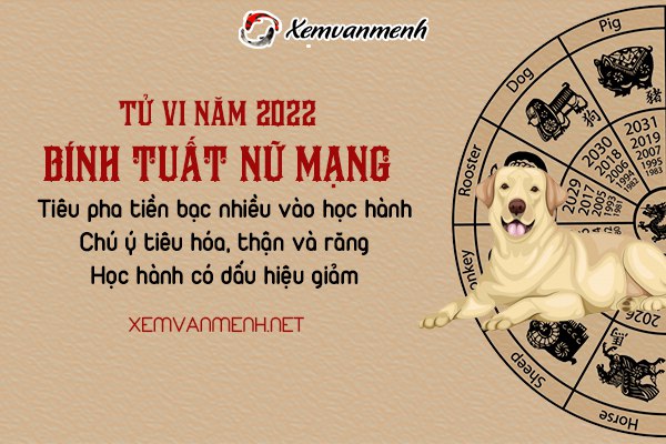 tu-vi-tuoi-binh-tuat-nam-2022-nu-mang-2006