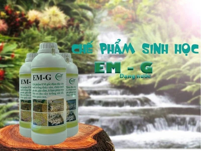 Chế phẩm sinh học EM gốc dạng lỏng (nước)