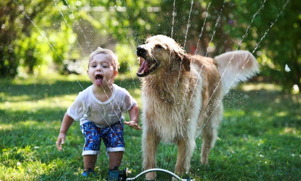 Make sure your children and dogs have a great relationship