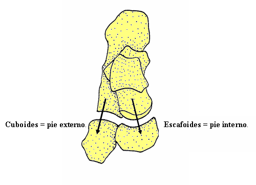 Mapa

Descripción generada automáticamente