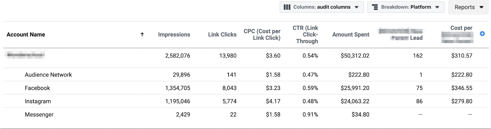 Facebook Ad report with a breakdown by platform