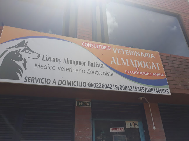Opiniones de Veterinaria en Quito - Veterinario
