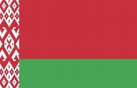 Image result for belarus  flag