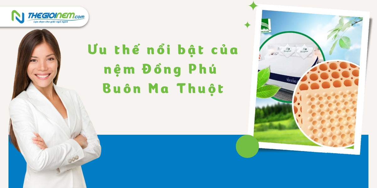 Đại lý bán nệm Đồng Phú tại Buôn Ma Thuột | Thegioinem.com