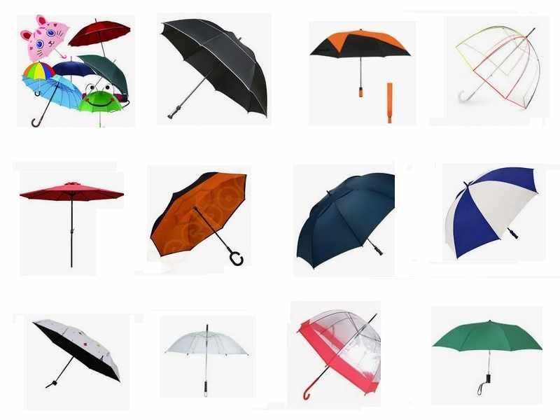 A picture containing umbrella, accessory
