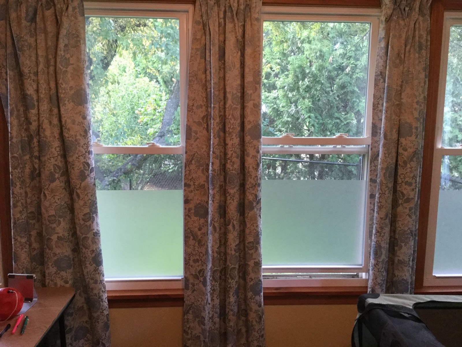 Two windows with full-length blue-and-white curtains pulled to the side. The bottom third of the window has translucent film covering it. The upper two-thirds of the windows show green leafy trees outside.