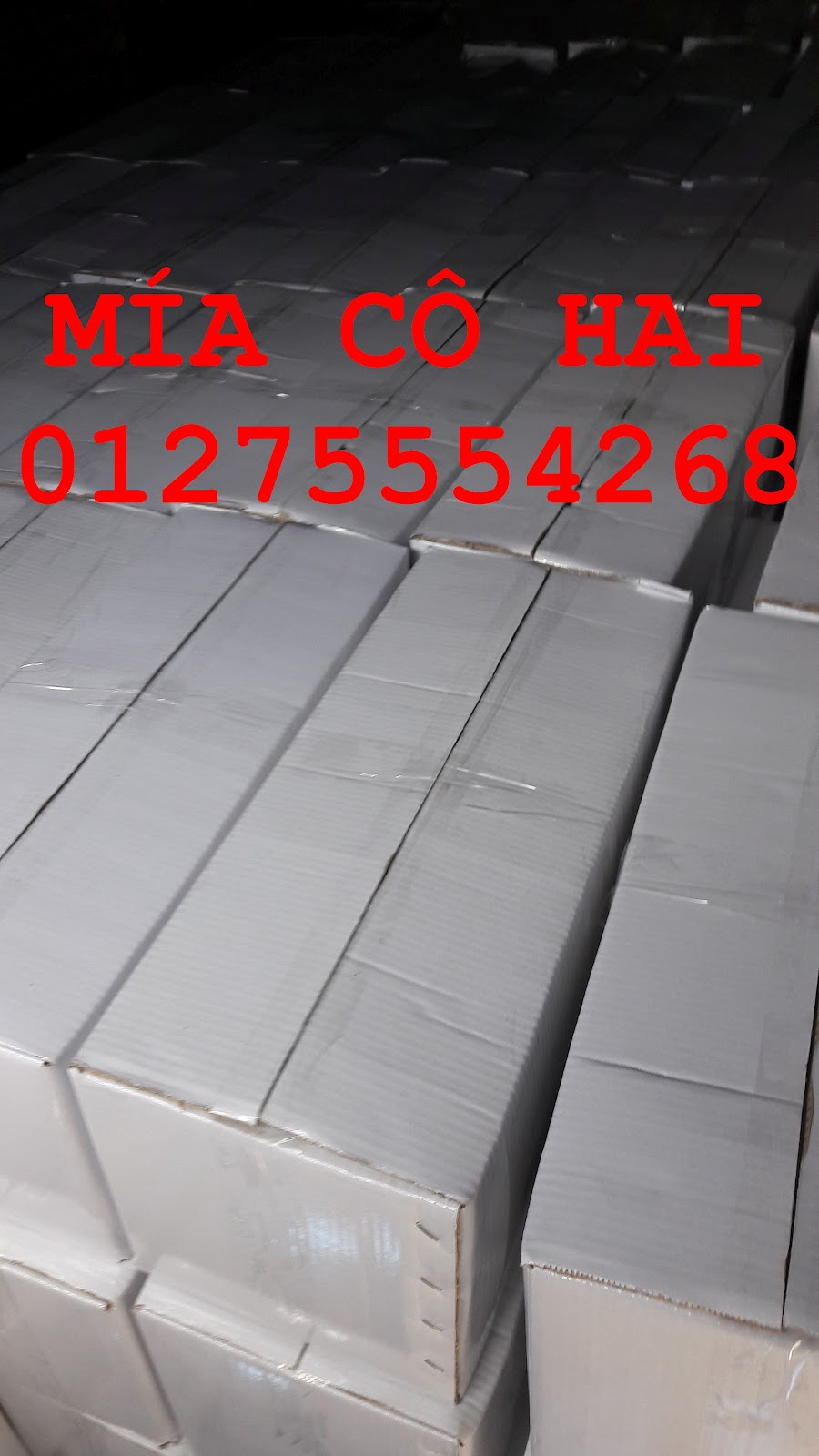 Mía cây mía ăn xuất khẩu 01275554268 - 13