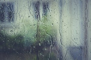 If you notice condensation on your home’s windows, you should take it seriously. Here are some ways to combat it.