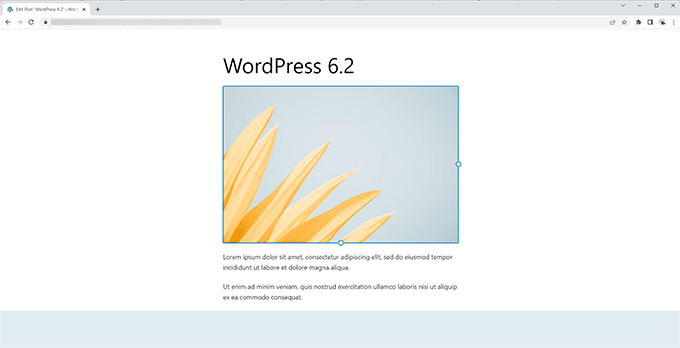 Image: Distraction Free Editor in WordPress 6.2